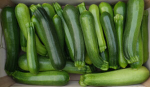 photo de courgette verte rangée en cagette