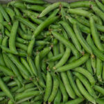 photo d'une cagette de petit pois bien vert