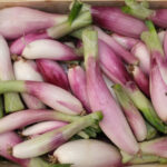 vue de cagette d'oignon de Simaiane pa naché de violet et de blanc, les tiges coupées