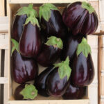 photo d'aubergine viollette rangée en caisse bois