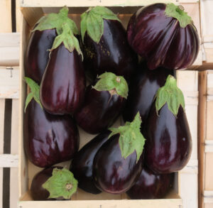 photo d'aubergine viollette rangée en caisse bois