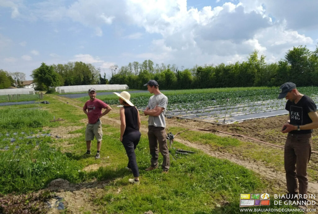 Photo de la visite du jardin lors de la réunion filière maraîchage de notre coopérative Alterconso