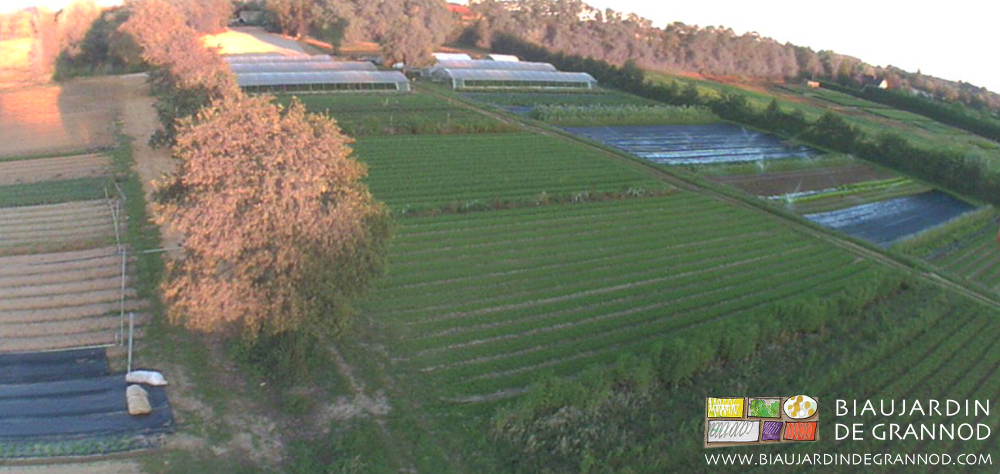 Vue aérienne de notre Biau Jardin comportant de très nombreuses planches en engrais vert