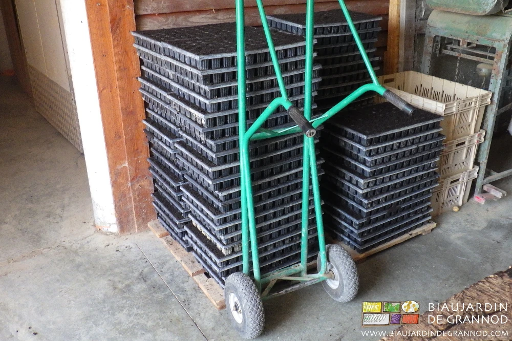 Photo d’une pile de plaques de mottes prêtes à semer, le diable va les prendre