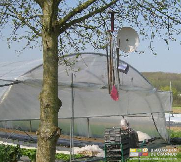 photo de mobile sonore accroché au chêne central du jardin