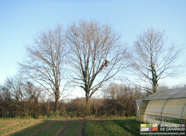 photo d'ensemble montrant Benjamin au travail et le résultat