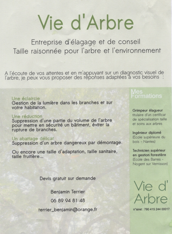 flyer de présentation professionnelle de Benjamin : Vie d'arbre
