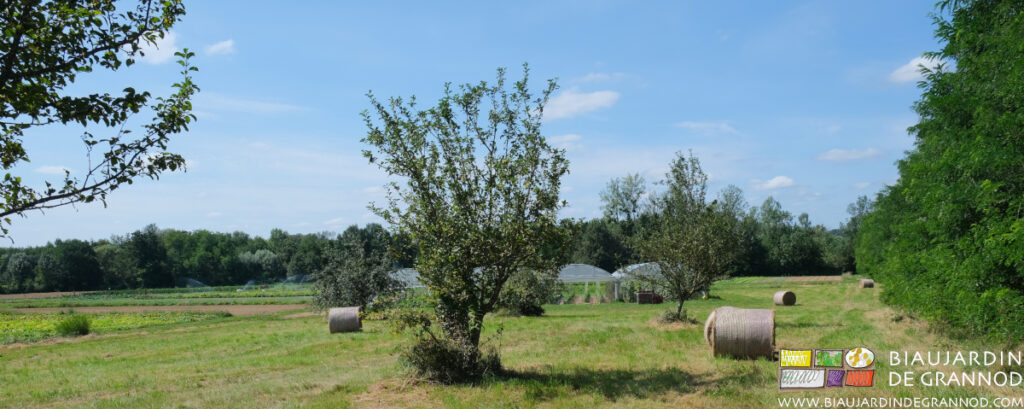 photo du jardin avec des bottes de foin récoltées à coté du quadri-tunnel