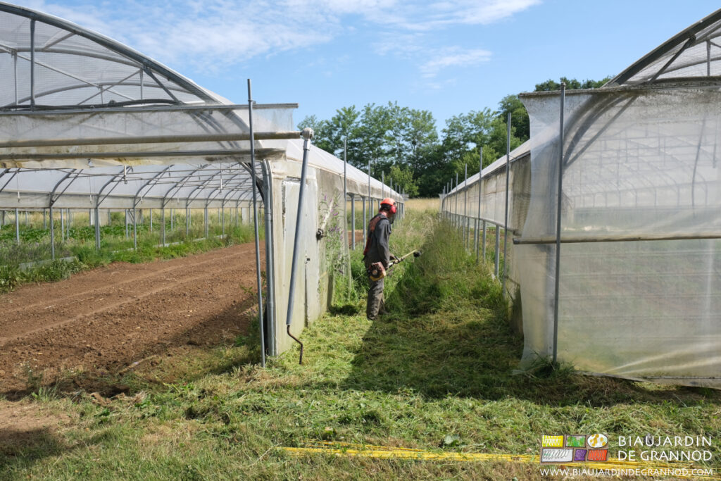 photo du fauchage au rotofil, avec casque pour les oreilles