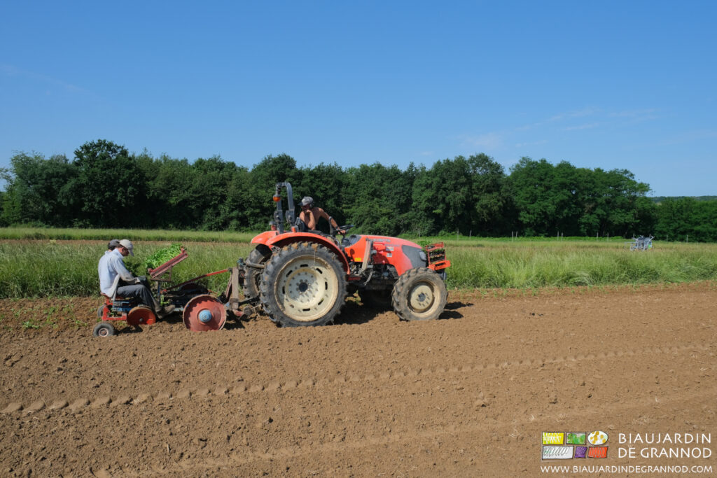 photo de l'équipe sur tracteur et planteuse sous un très beau ciel bleu