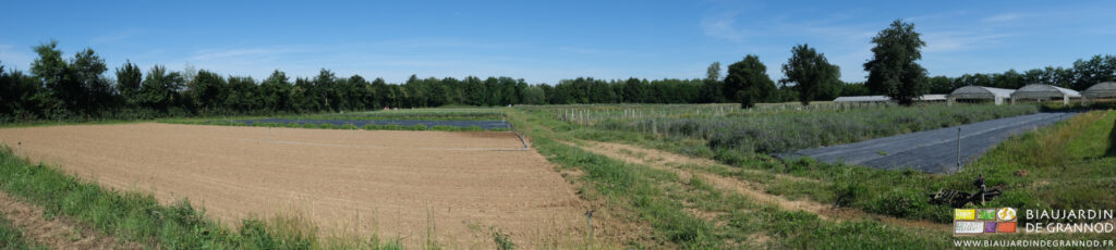 vue panoramique du jardin, des carrés en légume et de ses haies