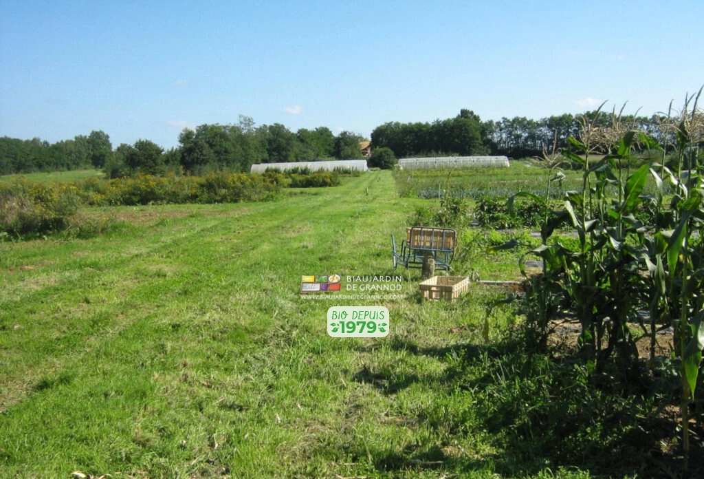 photo en perspective de notre jardin diversifié