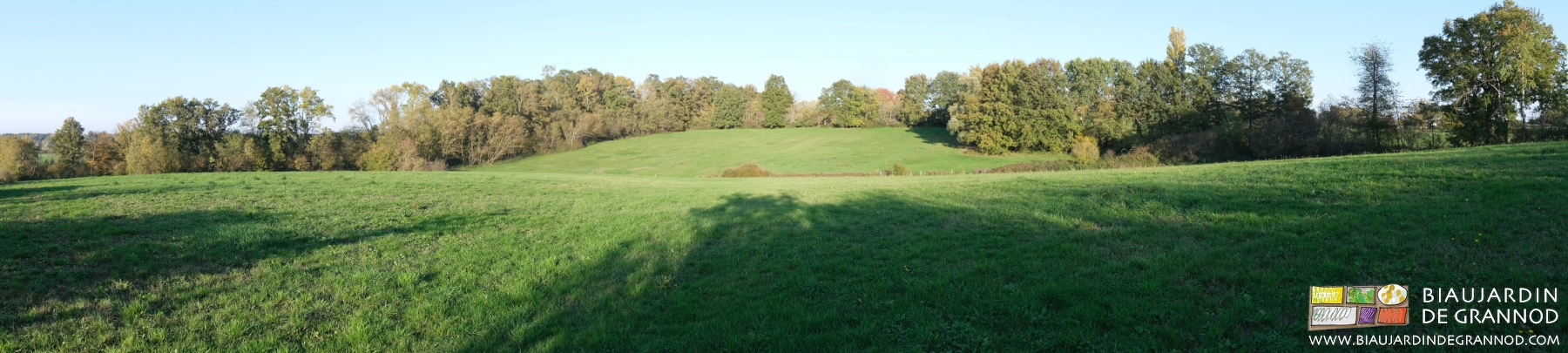 photo panoramique de nos prés vallonnés entourés de bocage traditionnel