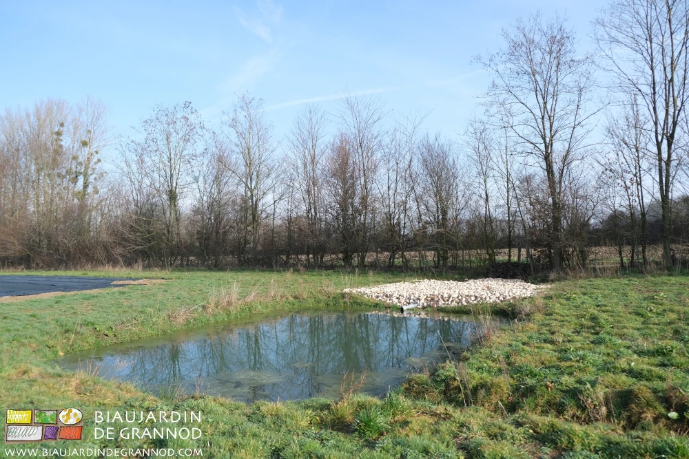 photo du bassin accompagné d'une parti sèche en gros cailloux
