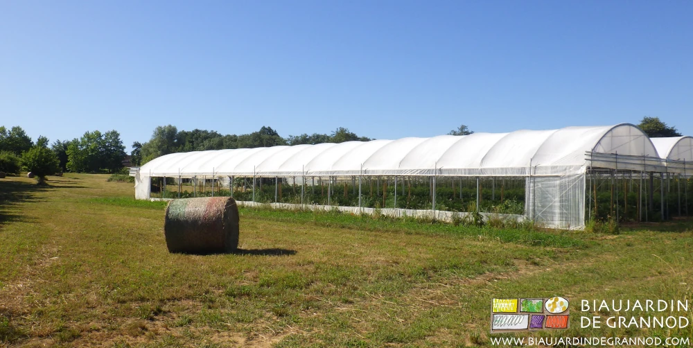 photo d'un botte ronde de foin à côté du quadritunnel
