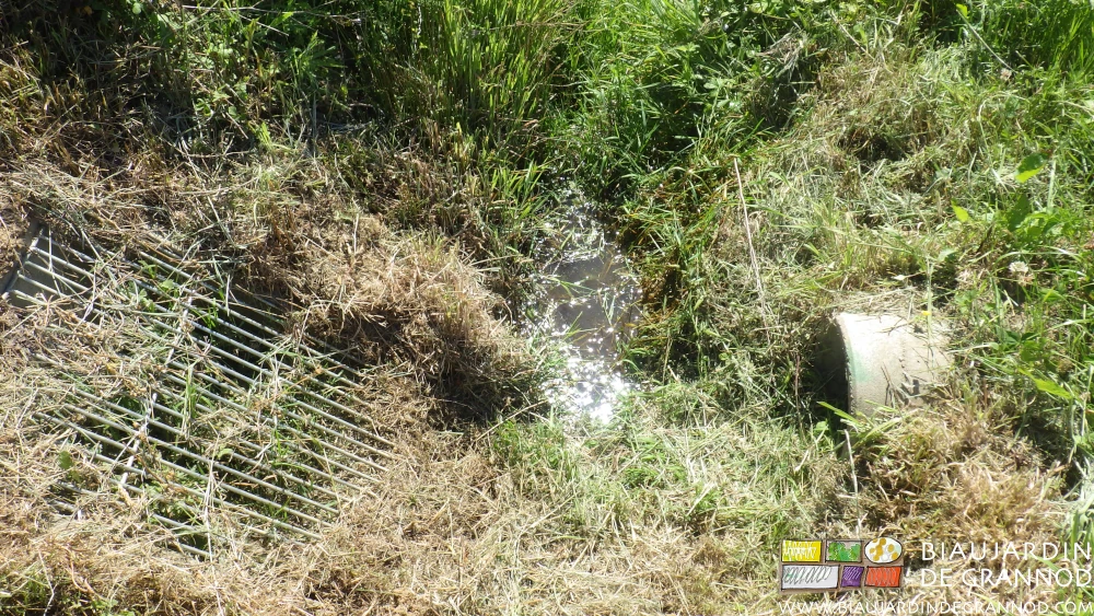 photo d'une évacuation en fossé profilée pour créer une mini mare permanente.