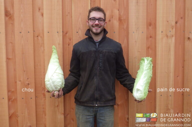 photo de Matthieu souriant avec en main un chou et une pain de sucre