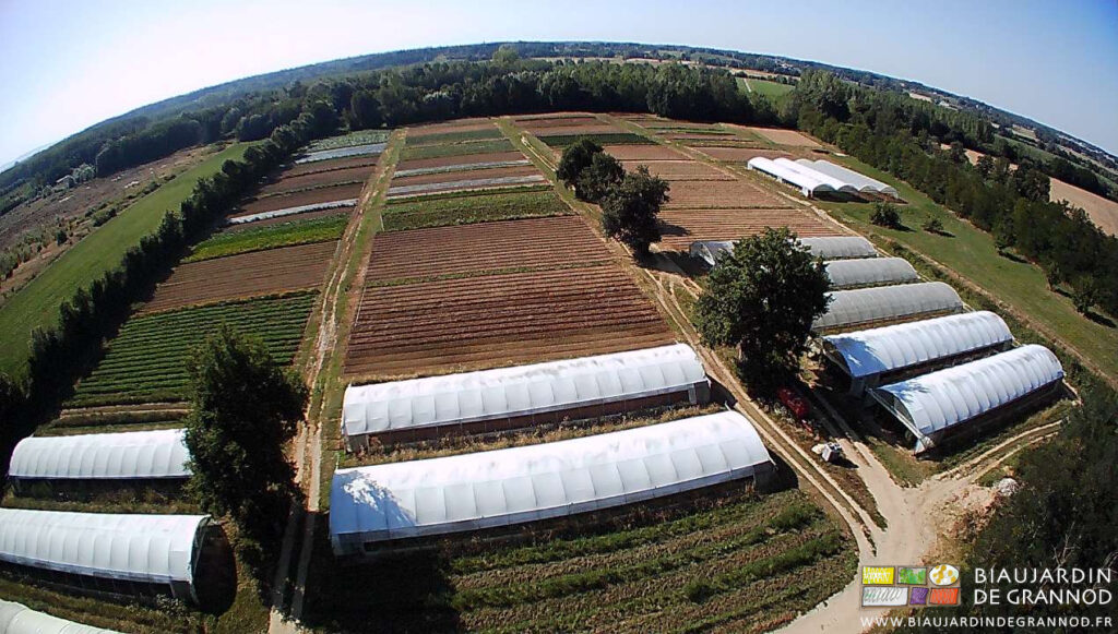 vue d'ensemble du jardin par drone