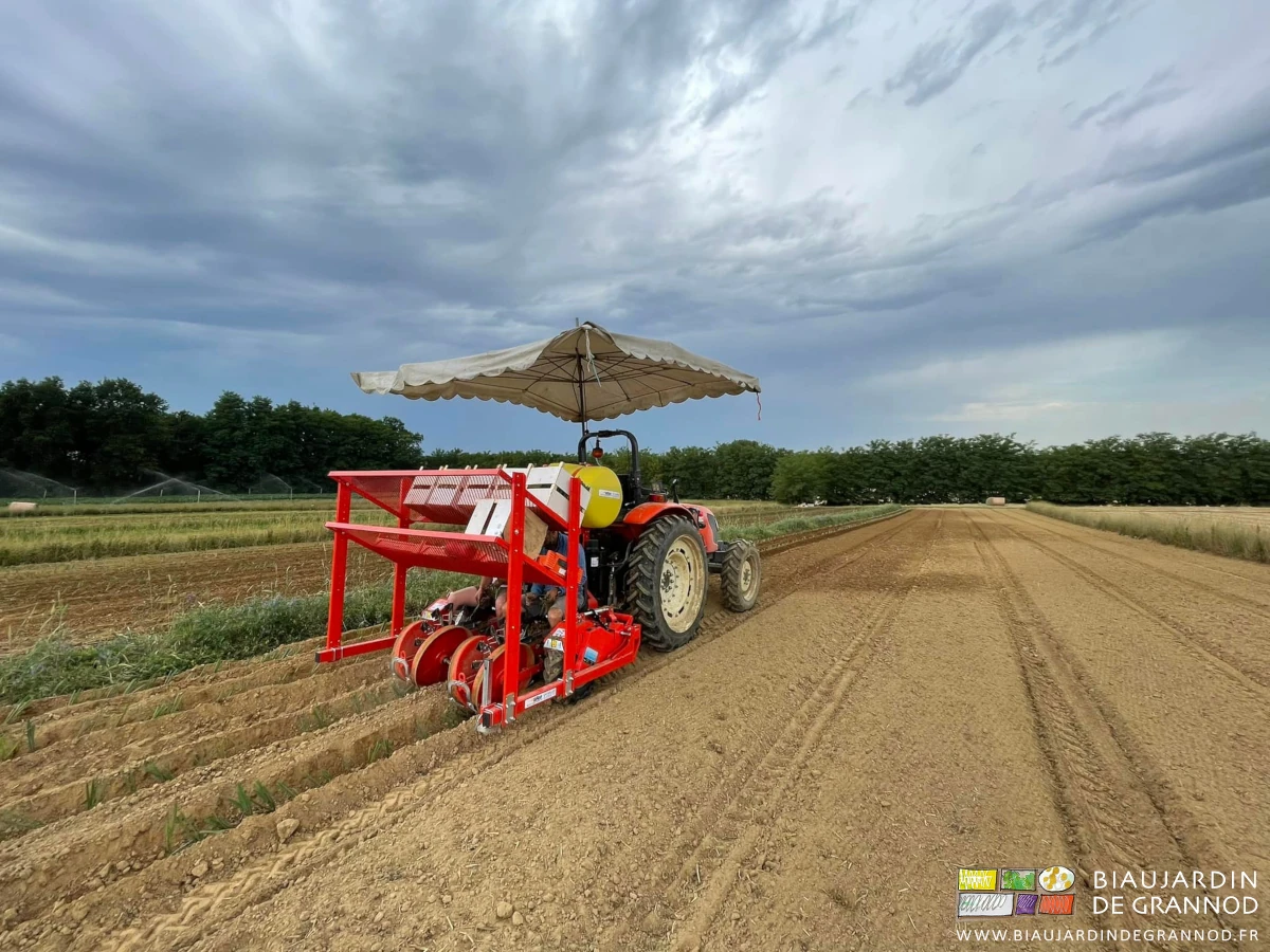 photo des planteurs de poireau assis au travail à l'abri du parasol installé sur la planteuse