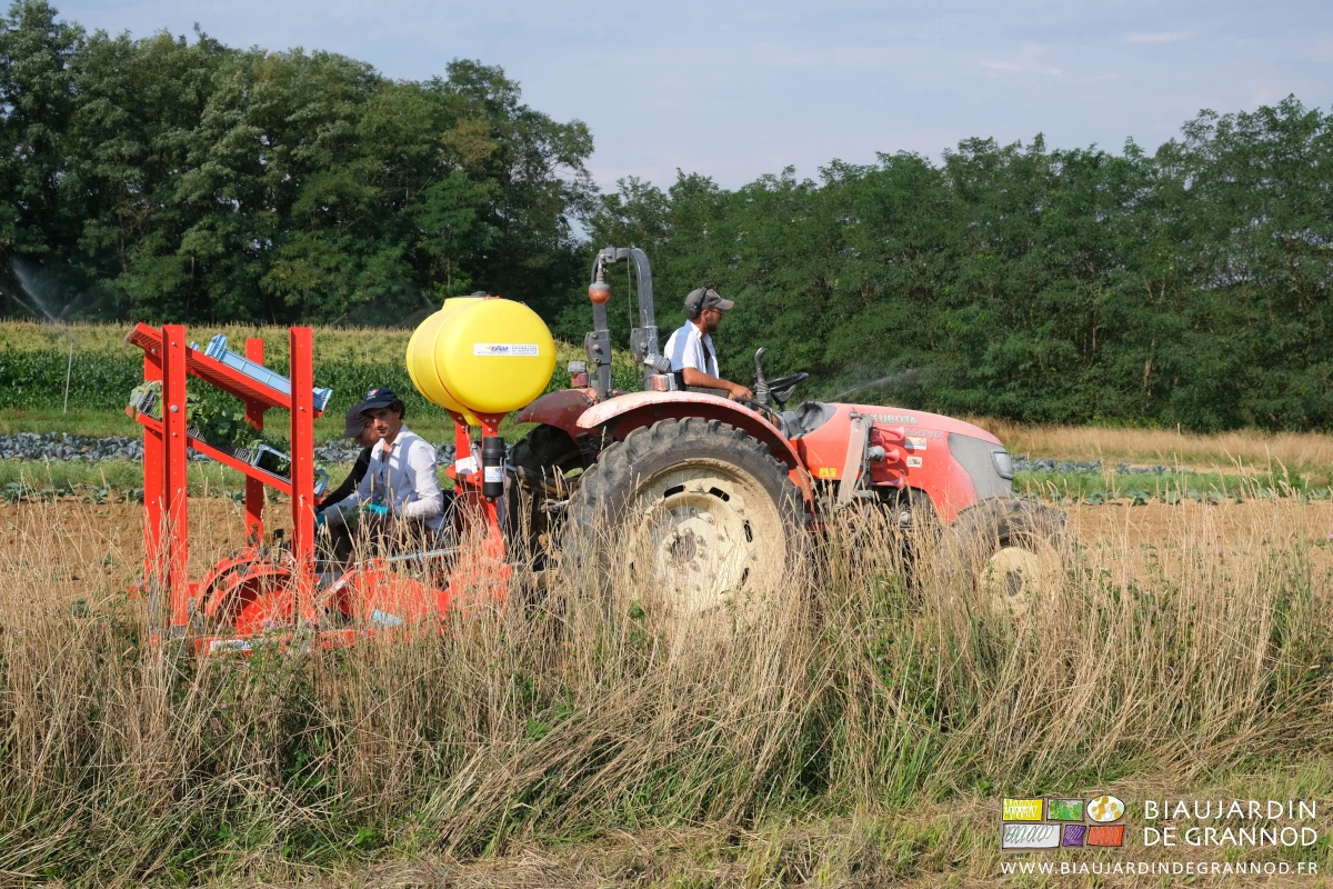 photo de l'équipe au travail sur la planteuse et le tracteur bande fleurie en premier plan