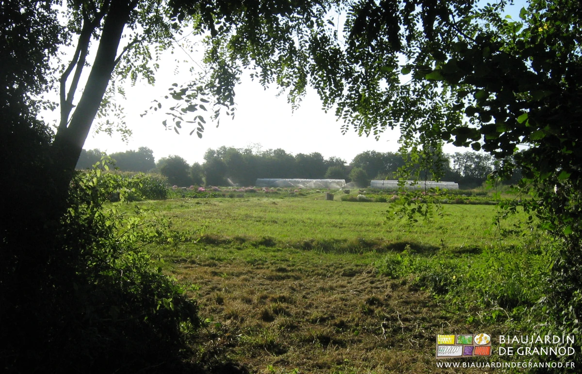 vue d'ensemble du jardin par une entrée dans une des haies bocagères