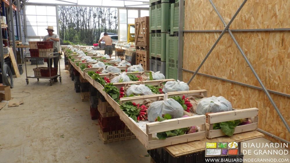 photo de la préparation des paniers facilitée par les tables roulantes