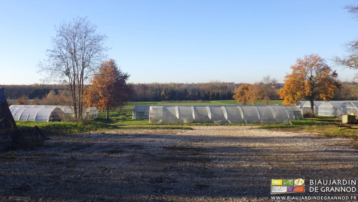 photo des tunnels sur fond de culture de plein champ et bocage bressan