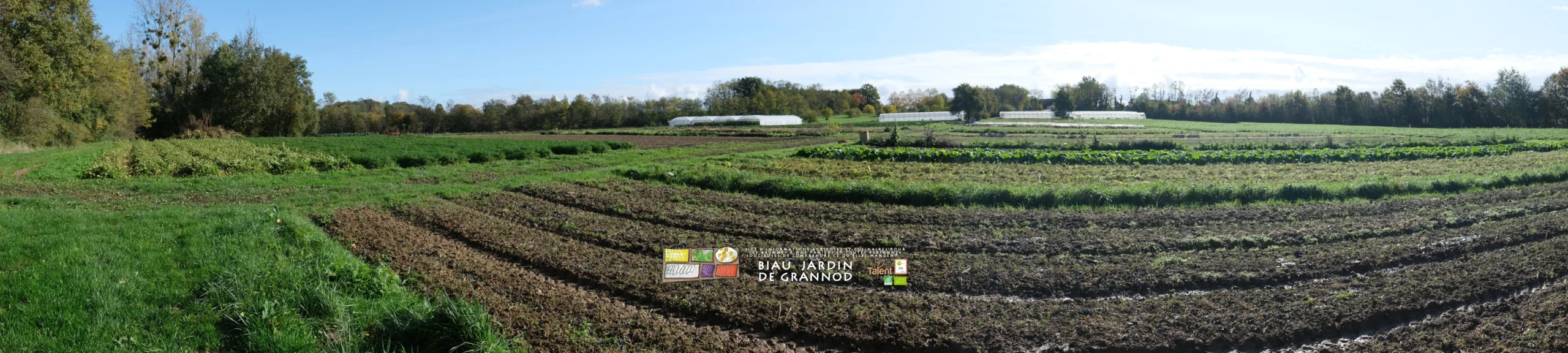 vue panoramique des planches de légume ou engrais vert, des tunnels sur fond de bocage bocage