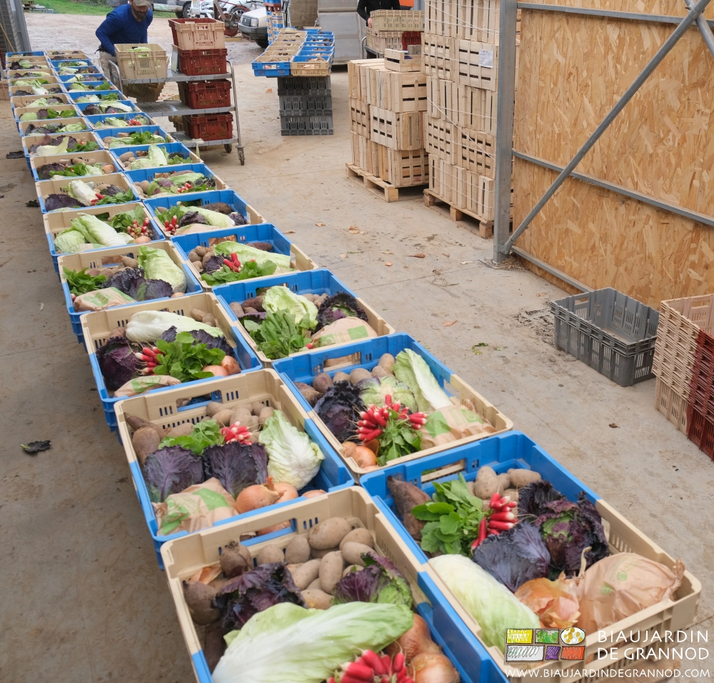 photo des paniers en cours de confection à la ferme