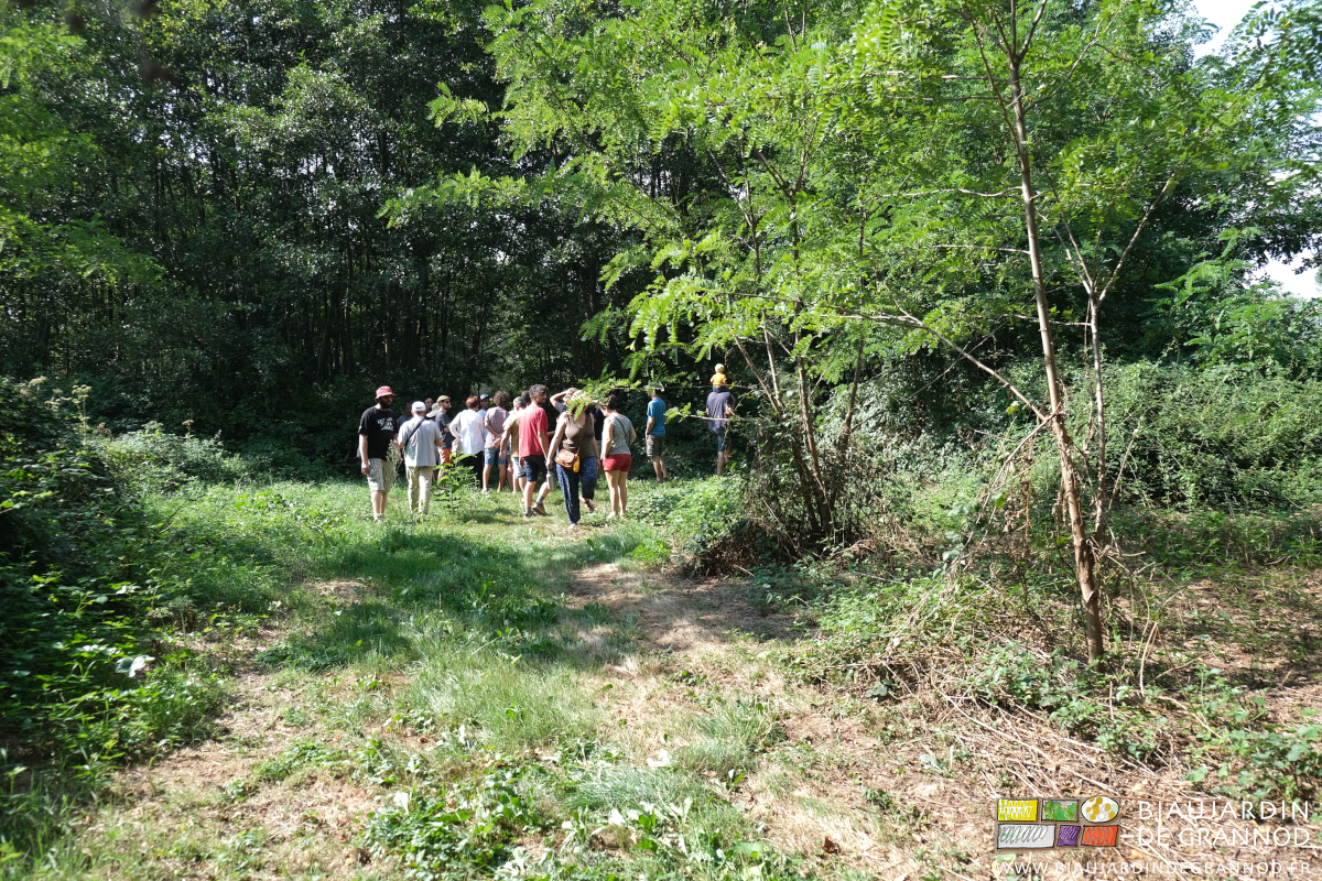 photo d'une partie du groupe en promenade