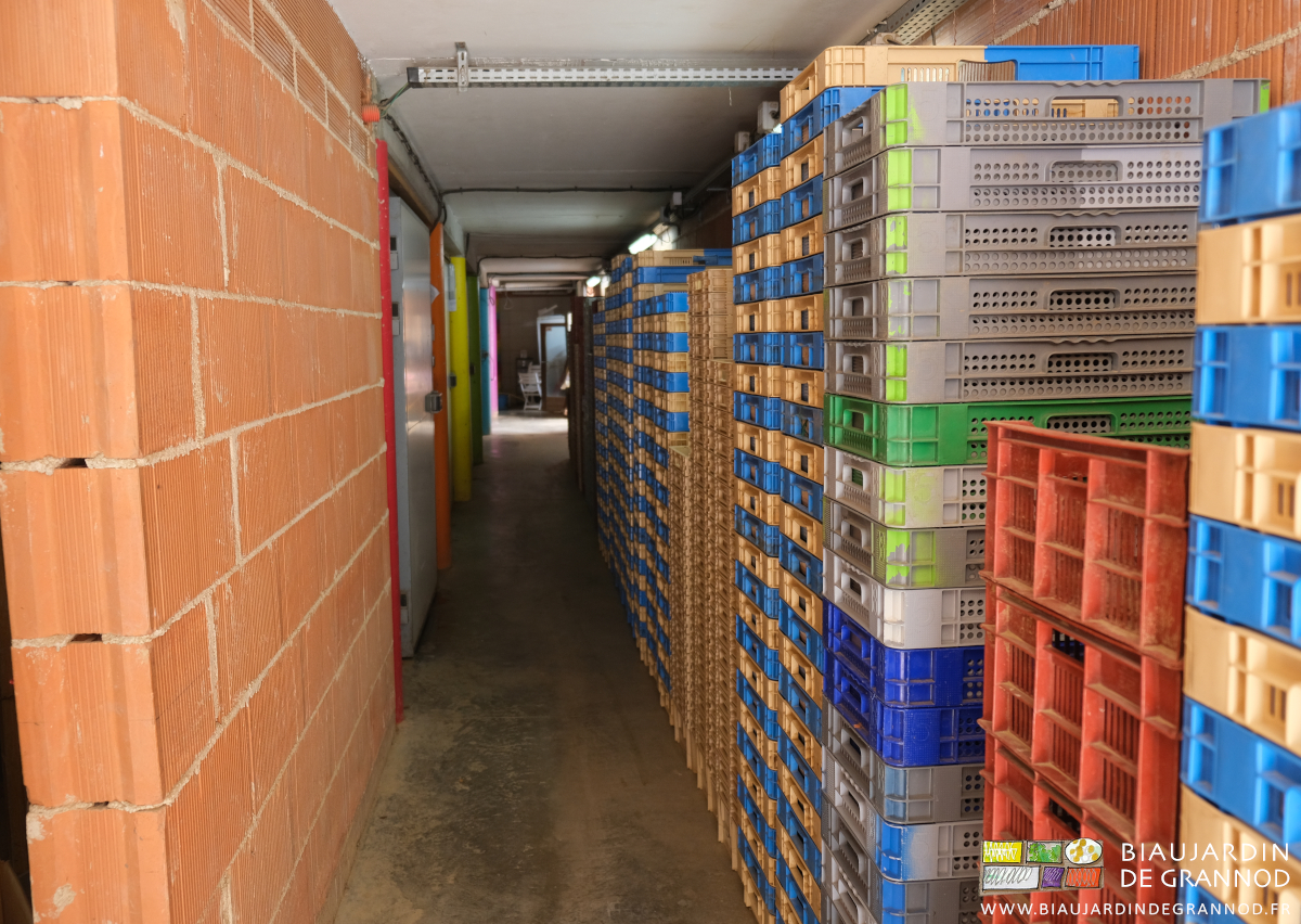 photo du couloir des chambres froide hébergeant une partie du stock de cagettes