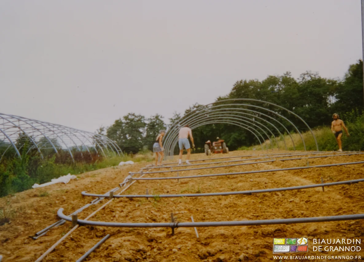 photo en perspective du montage de plusieurs tunnels à 3 personnes