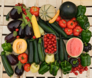 photo d'un assemblage de tous les légumes de l'été, entiers voire coupés