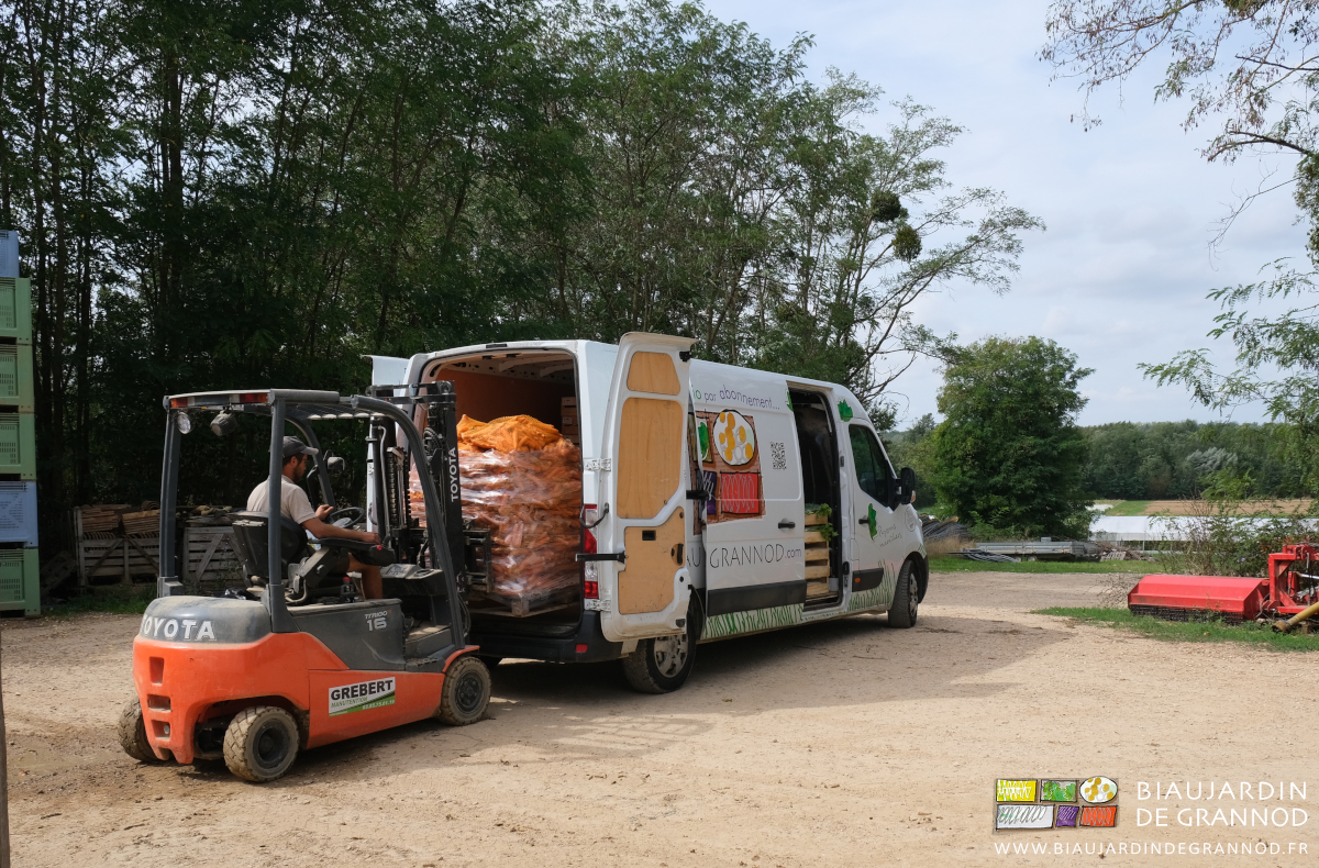 photo du chargement d'une palette de sacs de carotte lavée