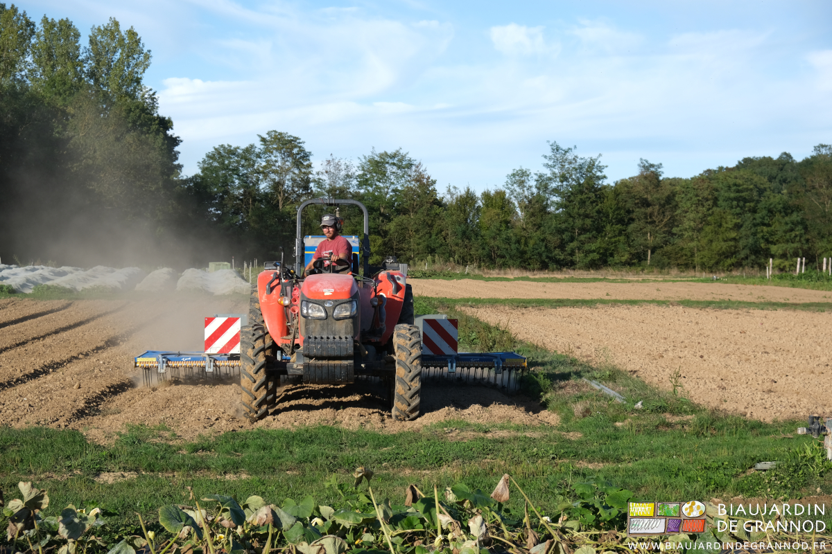 photo de >Matthieu à la conduite de la herse étrille qui sème simultanément 3 planches