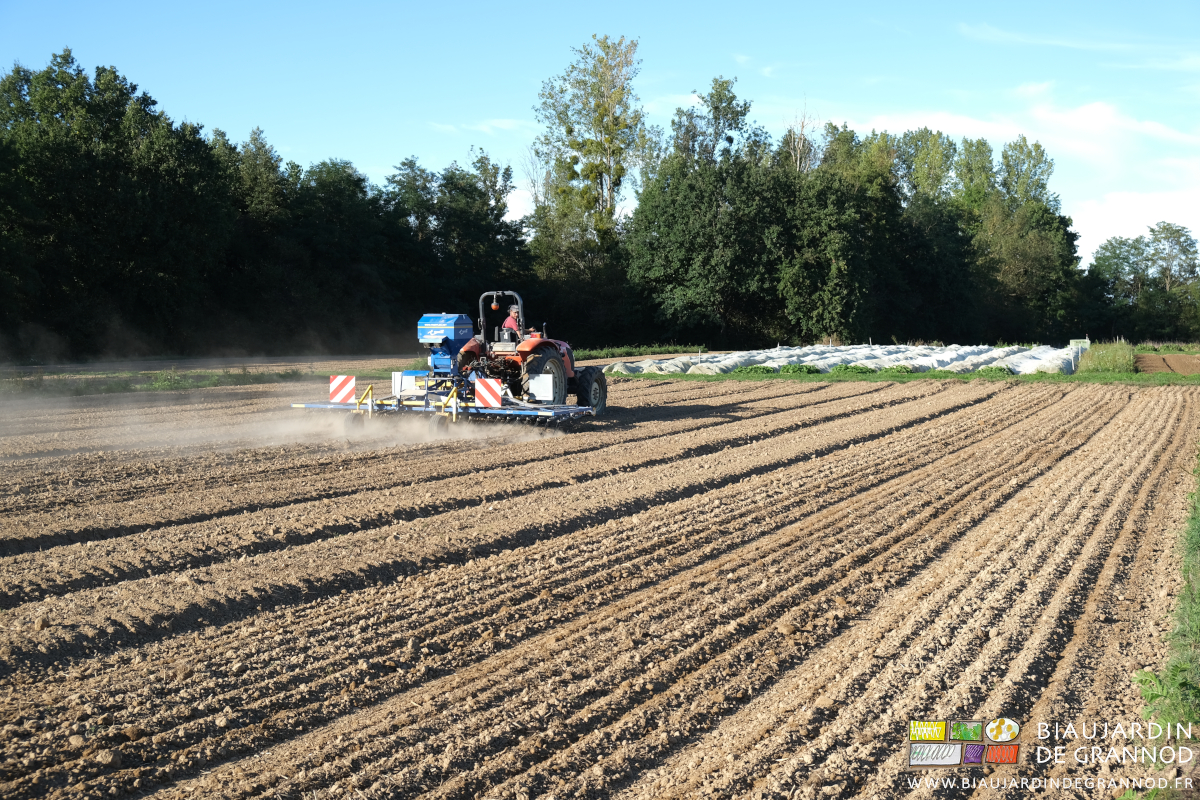 photo d'un carré pendant le passage de l'étrille avec envol de particules fines de terre