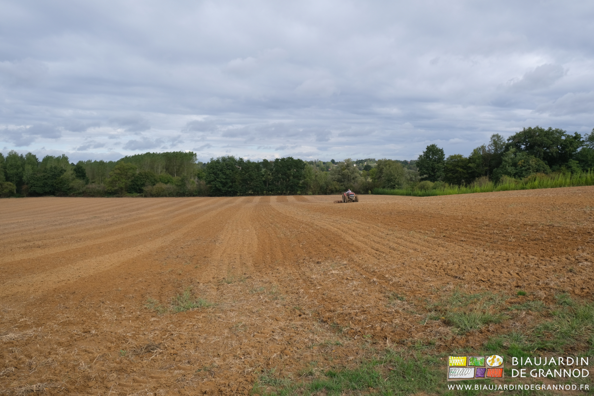 photo du passage alterné de vibrocumlteur pour fignoler le déchaumage de la parcelle