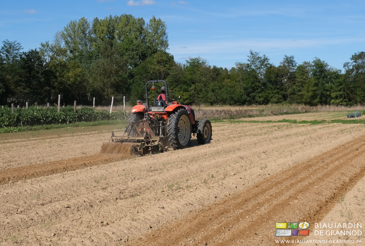 photo du travail superficiel du double rouleau de vibro détruisant les herbes levées