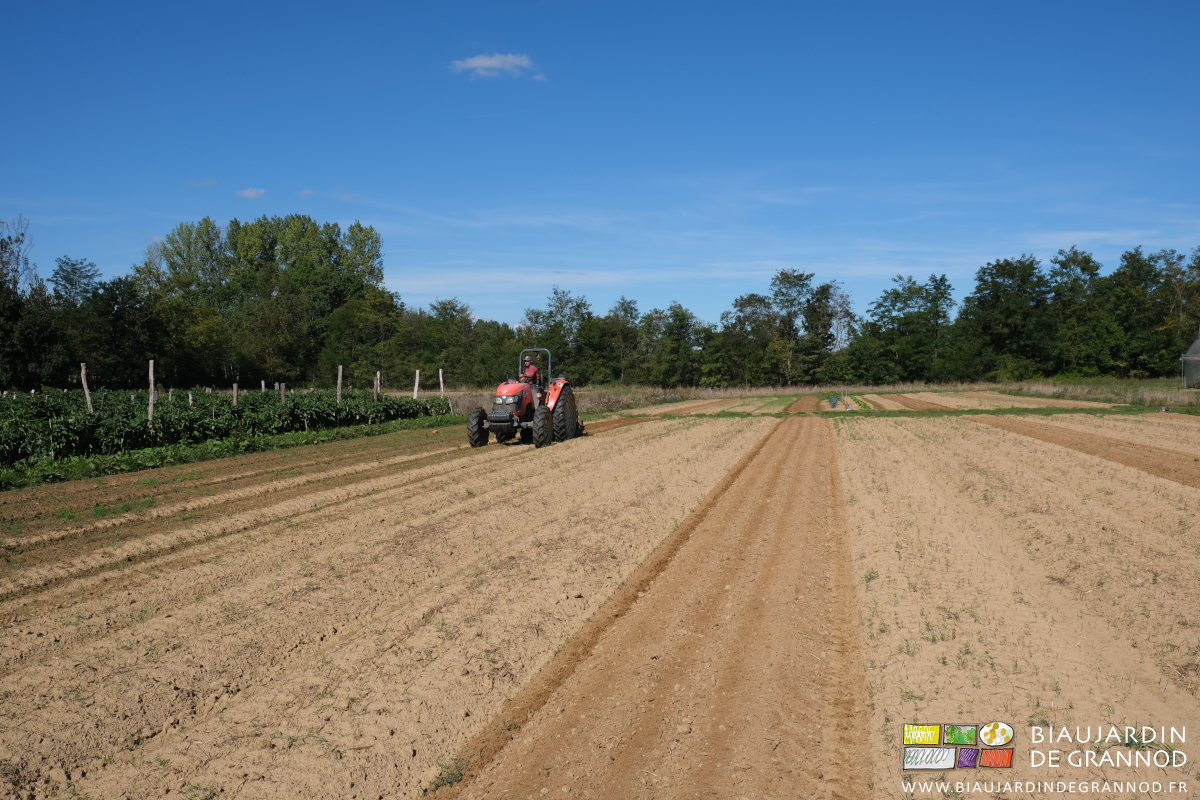 photo de destruction en cours d'un faux semis