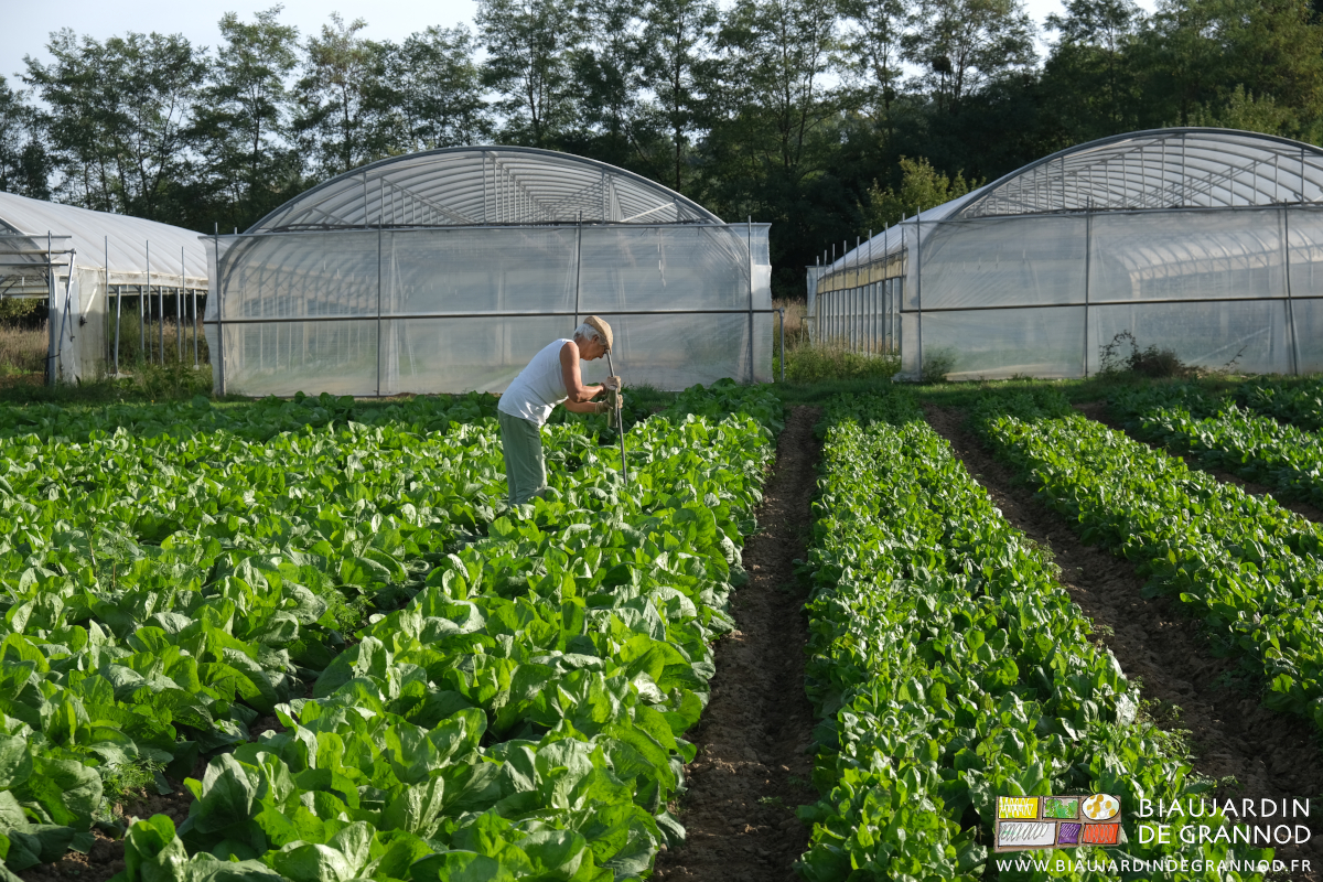 photo de la Biau retraitée qui sonde la planche avec une tige métal