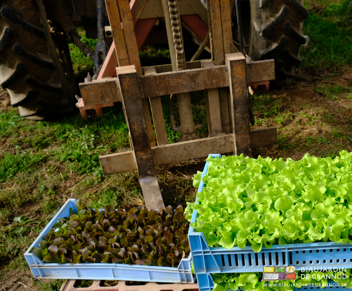 photo du mât lève palette du tracteur