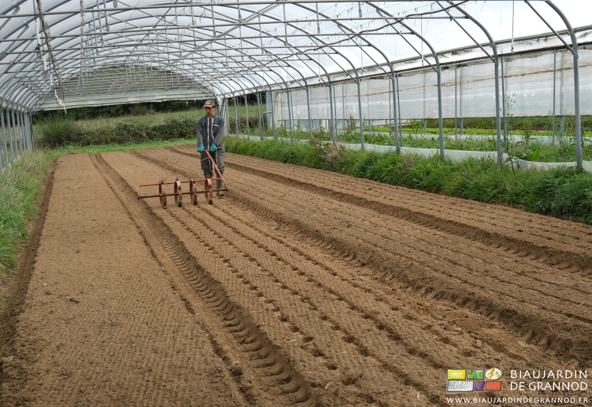photo de Vivien qui tire sous tunnel le marqueur à salade