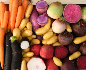 photo de légumes racine lavés en mélange avec rayon de soleil