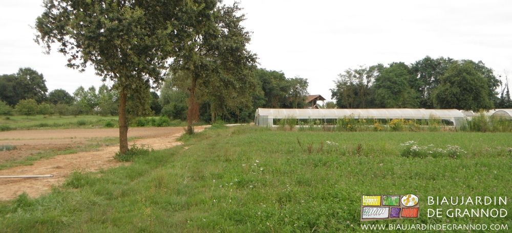 photo de la parcelle choisie