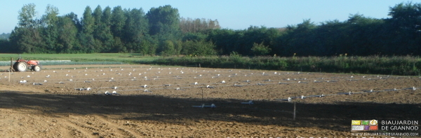 photo des lieux les amarres distribuées le long des cordeaux