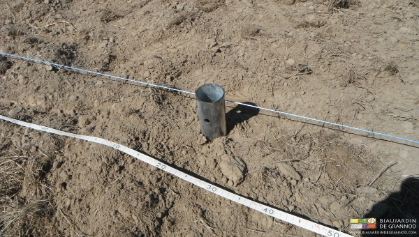 photo du pied en position enfoncée