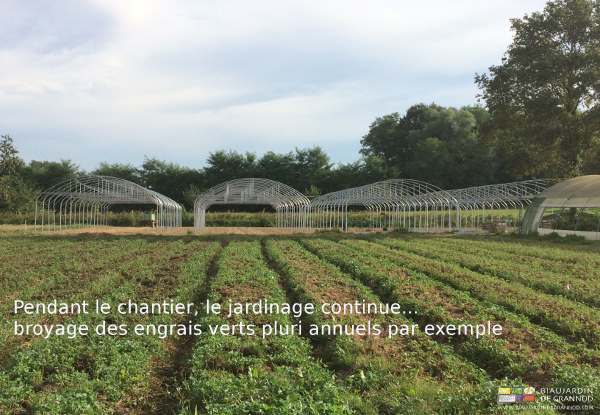 vue d'ensemble de l'ossature avec engrais vert broyé au premier plan