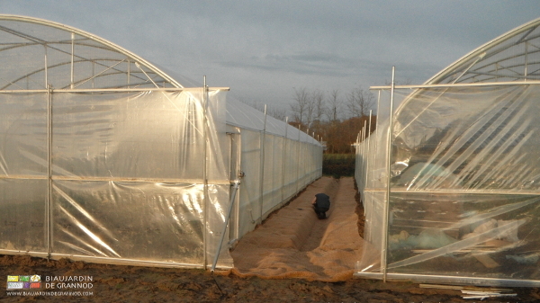 photo de la finition de pôse du feutre sous le soleil