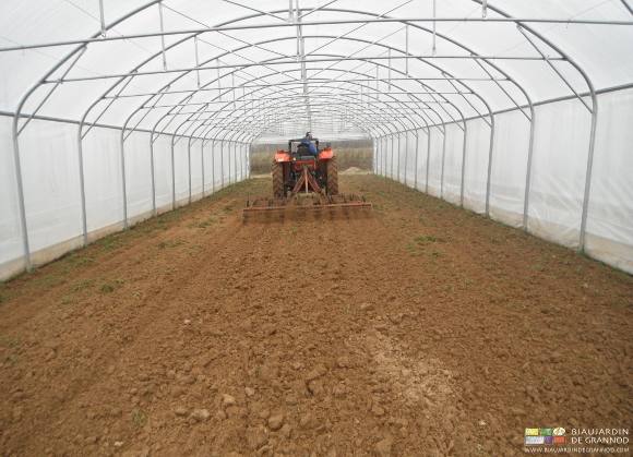 photo de la reprise superficielle des nouveaux tunnels avec le vibroculteur large