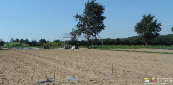 vue d'ensemble, on distingue à peine les pieds, les premiers arceaux montés